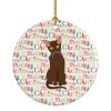 Suphalak Cat Christmas Ceramic Ornament Christmas Tree Hanging Decorations for Home Christmas Holiday, Party, Gift, 3 in, Multicolor