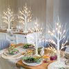 Christmas Decorations Indoor, 2 FT Birch Tree with LED Lights, Fairy Light Spirit Tree for Christmas Decor
